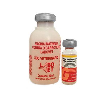 VACINA CONTRA GARROTILHO - Foto 1