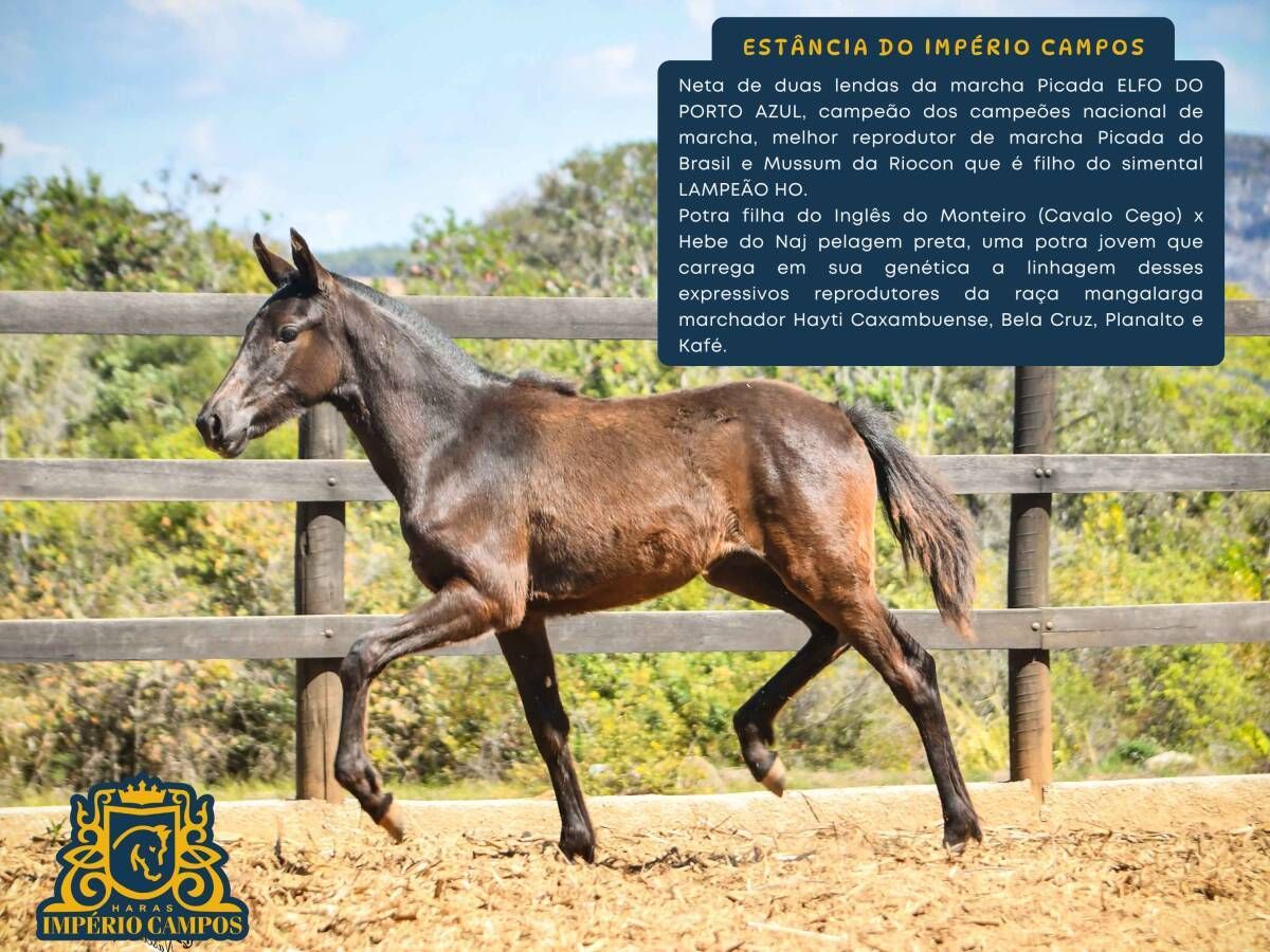 Estância do Império Campos