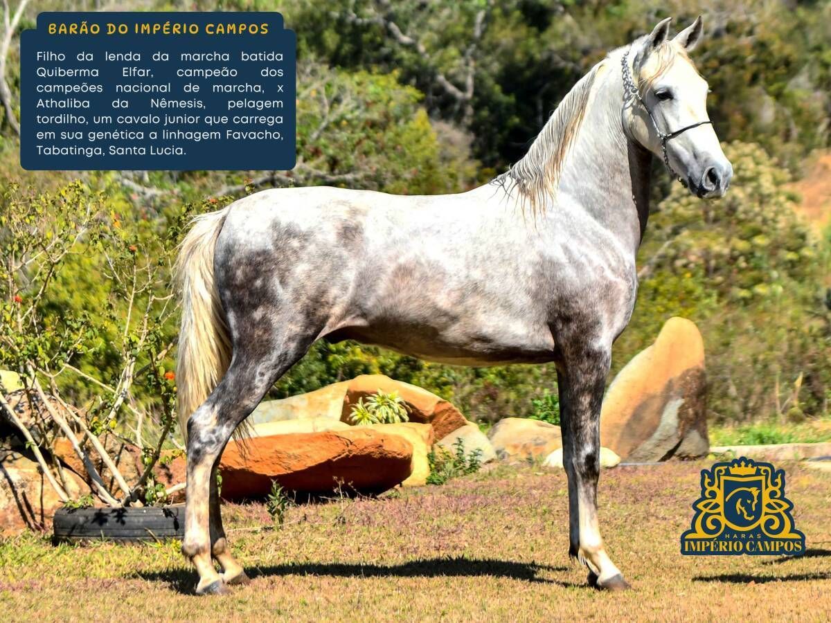 Barão do Império Campos