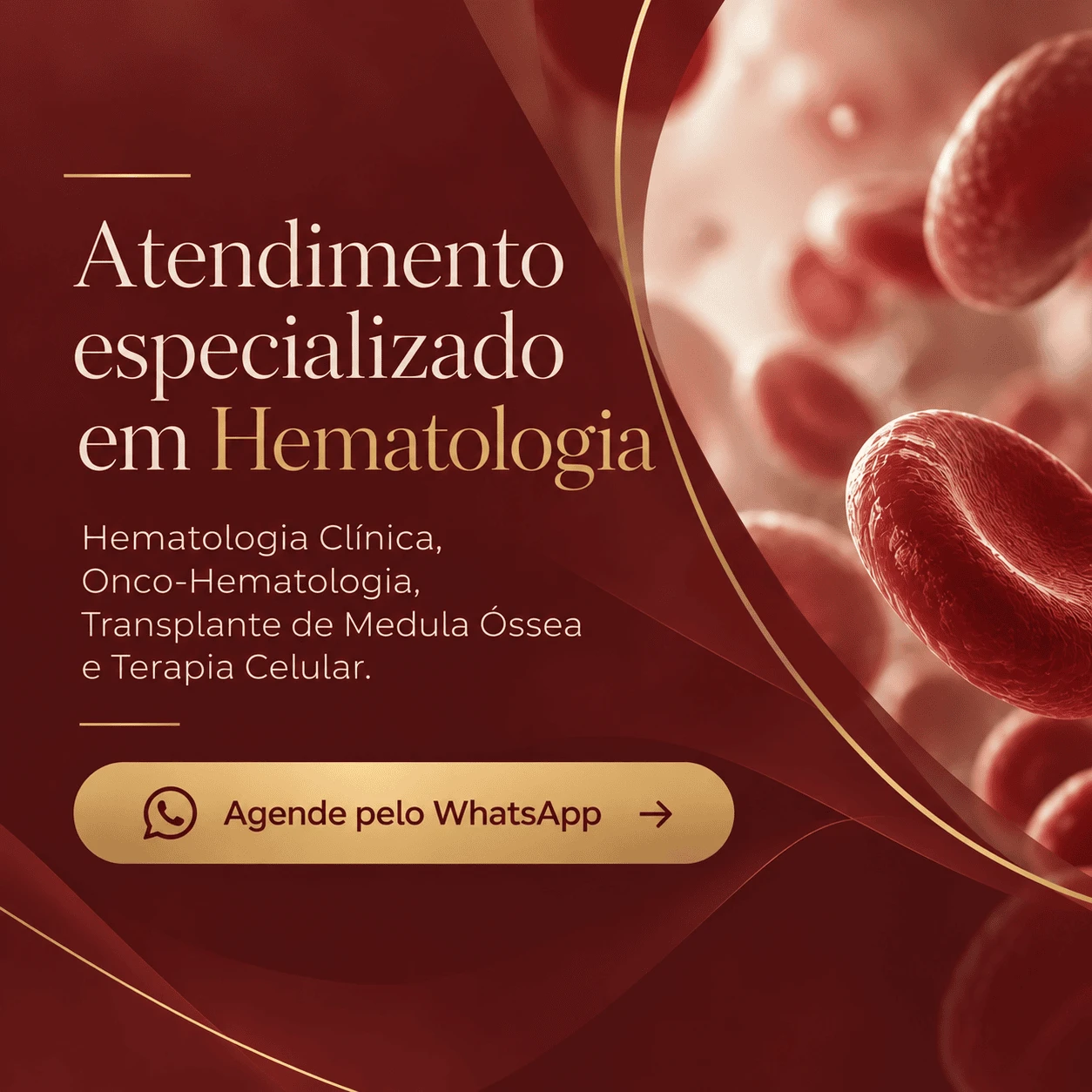 Imagem do Slide Home