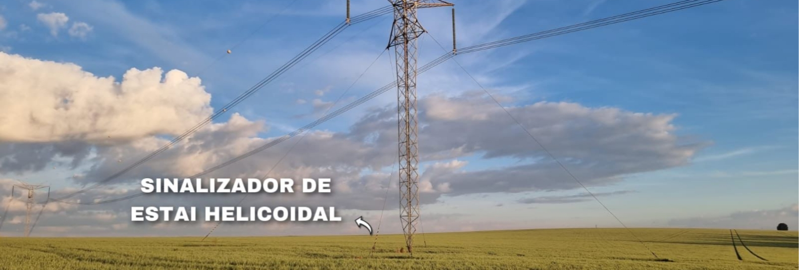 Imagem do Slide Home