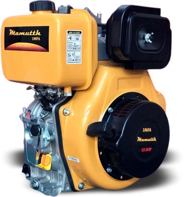 MOTOR 186FA / 10.0HP - Foto 1