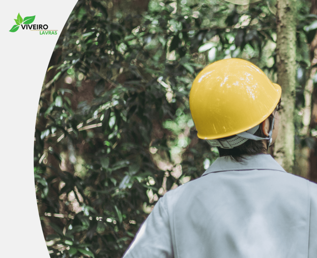 Consultoria Ambiental - Foto 1