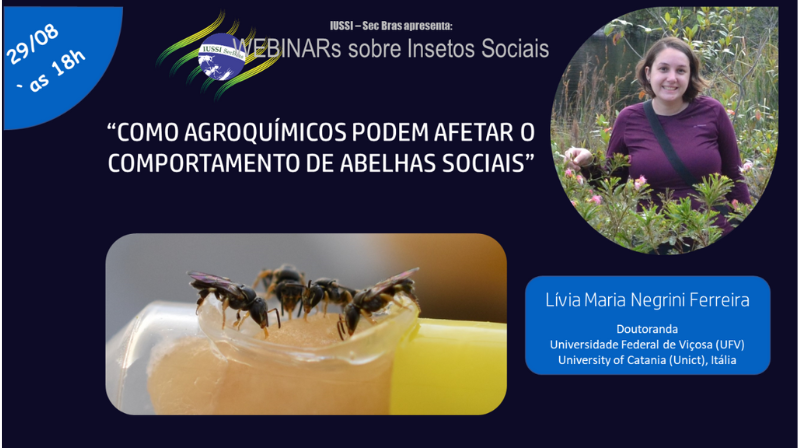 VII Webinar Sobre Insetos Sociais