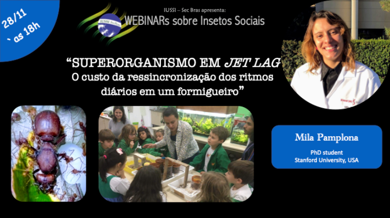 X Webinar Sobre Insetos Sociais