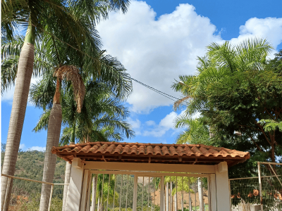 Palmeira Imperial - Foto 1