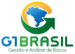 G1 BRASIL LTDA
