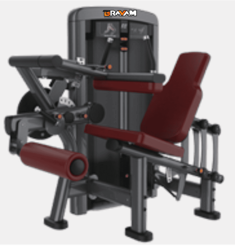 EXTENSORA E FLEXORA SENTADAS - Foto 1