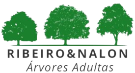RIBEIRO&NALON - ÁRVORES ADULTAS
