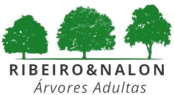RIBEIRO&NALON - ÁRVORES ADULTAS