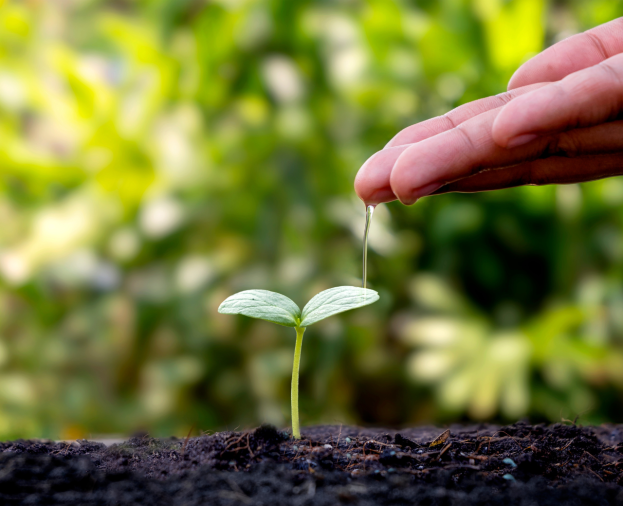 Projetos para Preservação - Foto 1