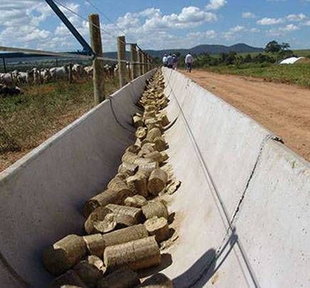 Modo de usar HIDROFEED®