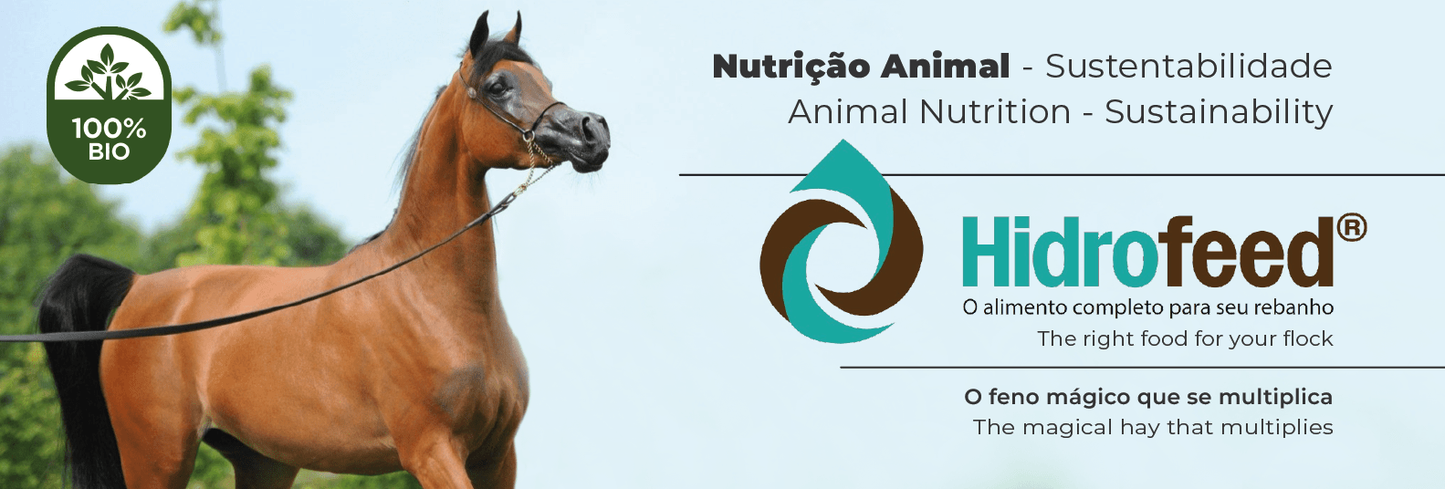 Imagem do Slide Home