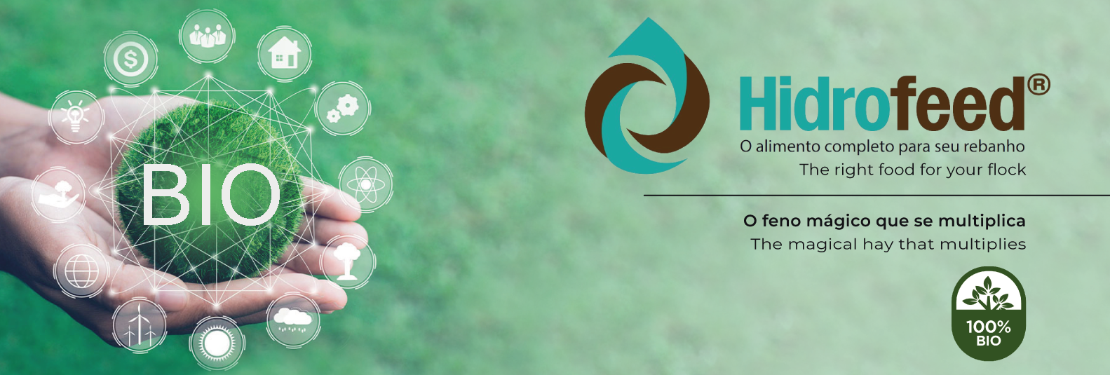 Imagem do Slide Home