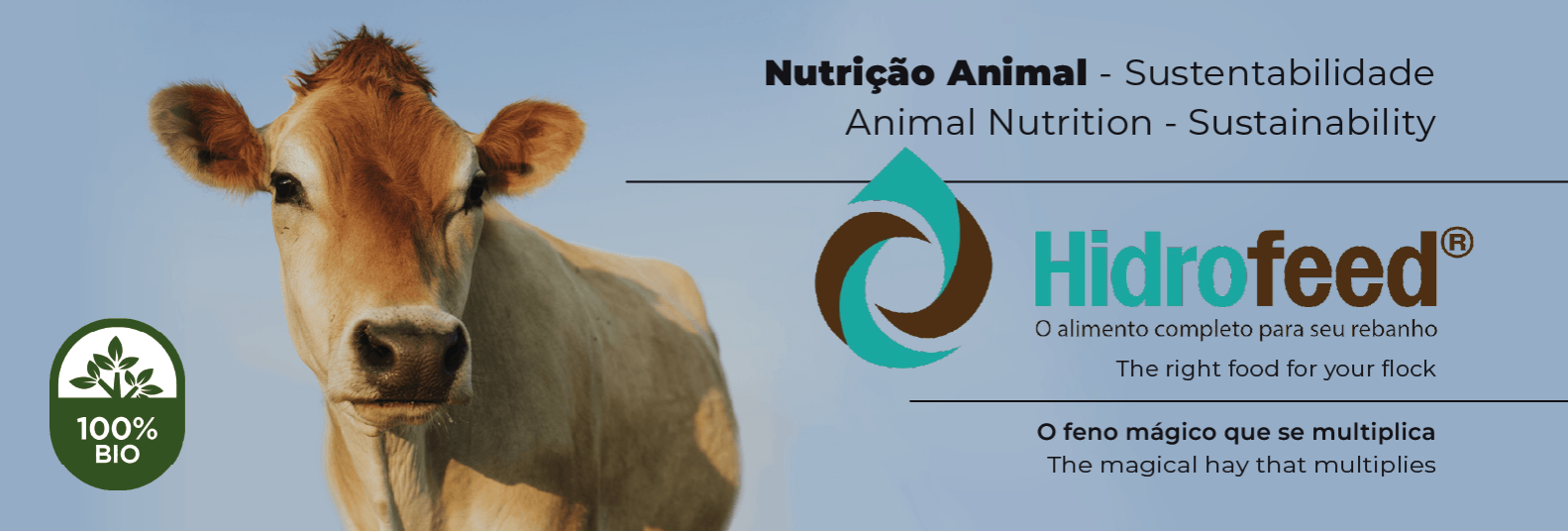 Imagem do Slide Home