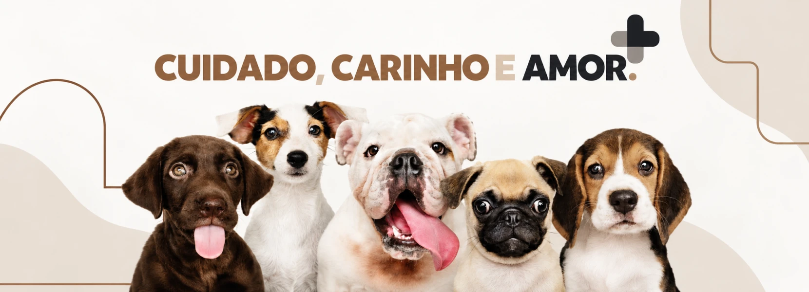 Imagem do Slide Home