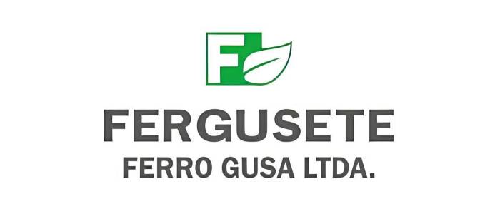 FERGUSETE FERRO GUSA