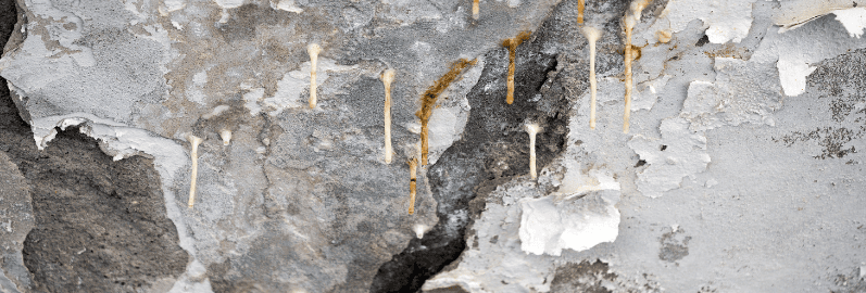 Aditivo Cristalizante: Impermeabilização Definitiva do Concreto