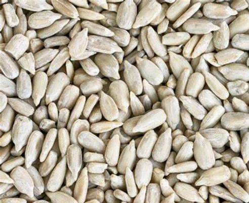 Pepitas de Girassol - Foto 1