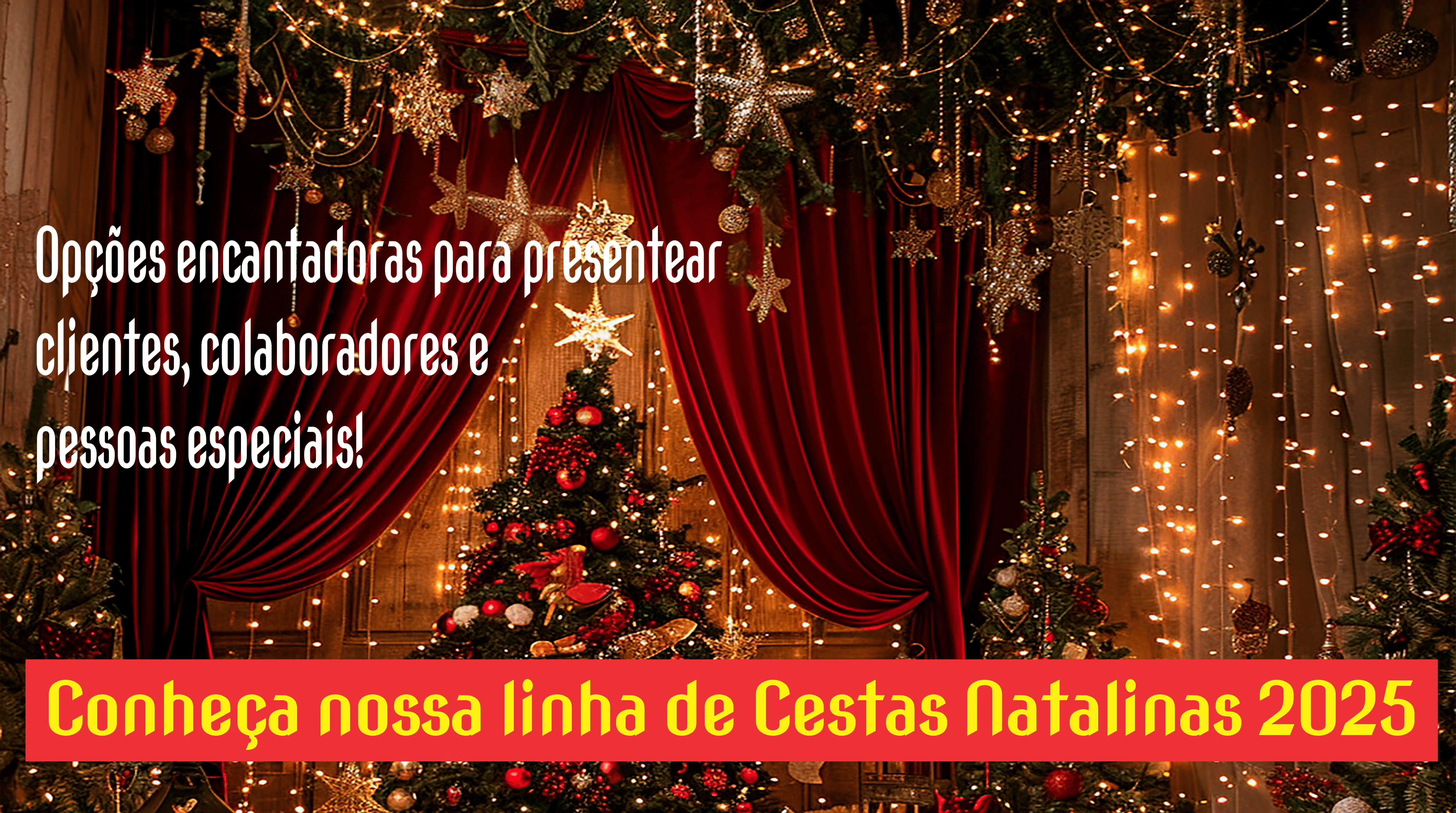 Imagem do Slide Home