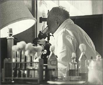 A Orgonomia por Wilhelm Reich - Foto 1