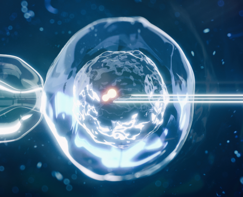 IVF - Fertilização In Vitro - Foto 1