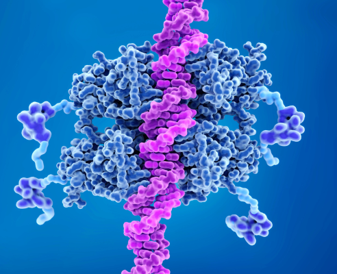 Oncogenética - Foto 1