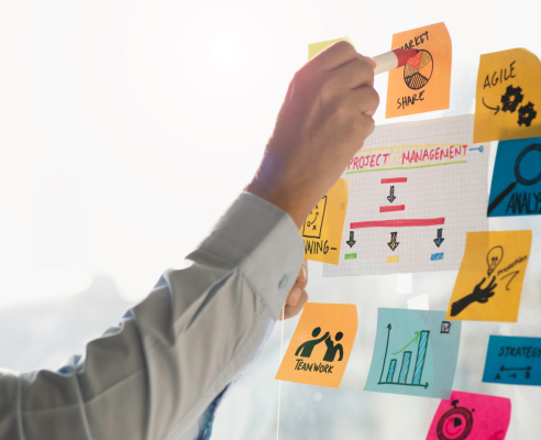 PMO (Project Management Office) - Foto 1