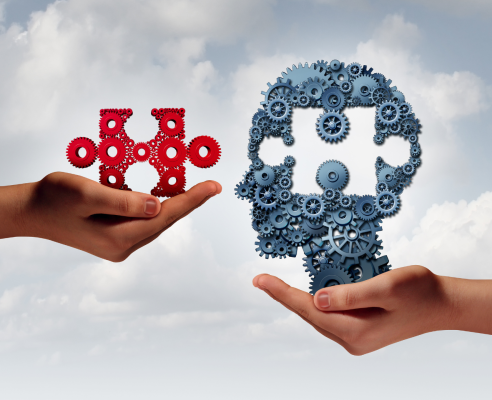 Treinamento - Foto 1