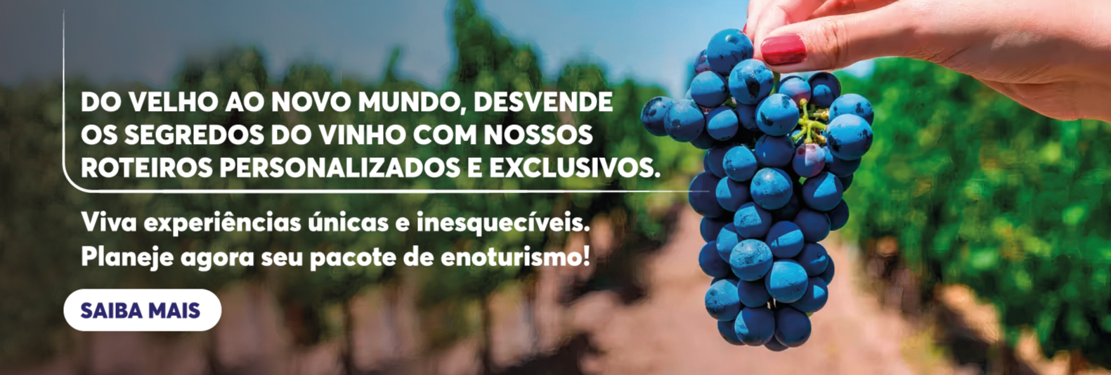 Imagem do Slide Home
