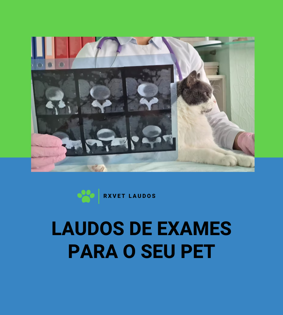 Imagem do Slide Home