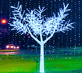 ARVORE CEREJEIRAS 4 METROS - Foto 1