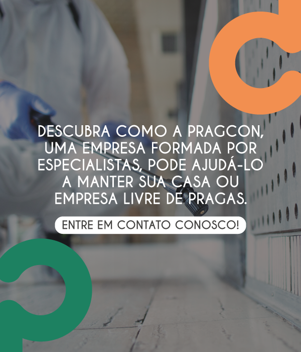 Imagem do Slide Home