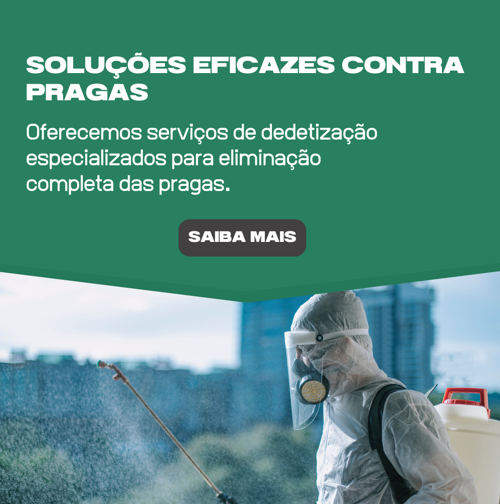 Imagem do Slide Home