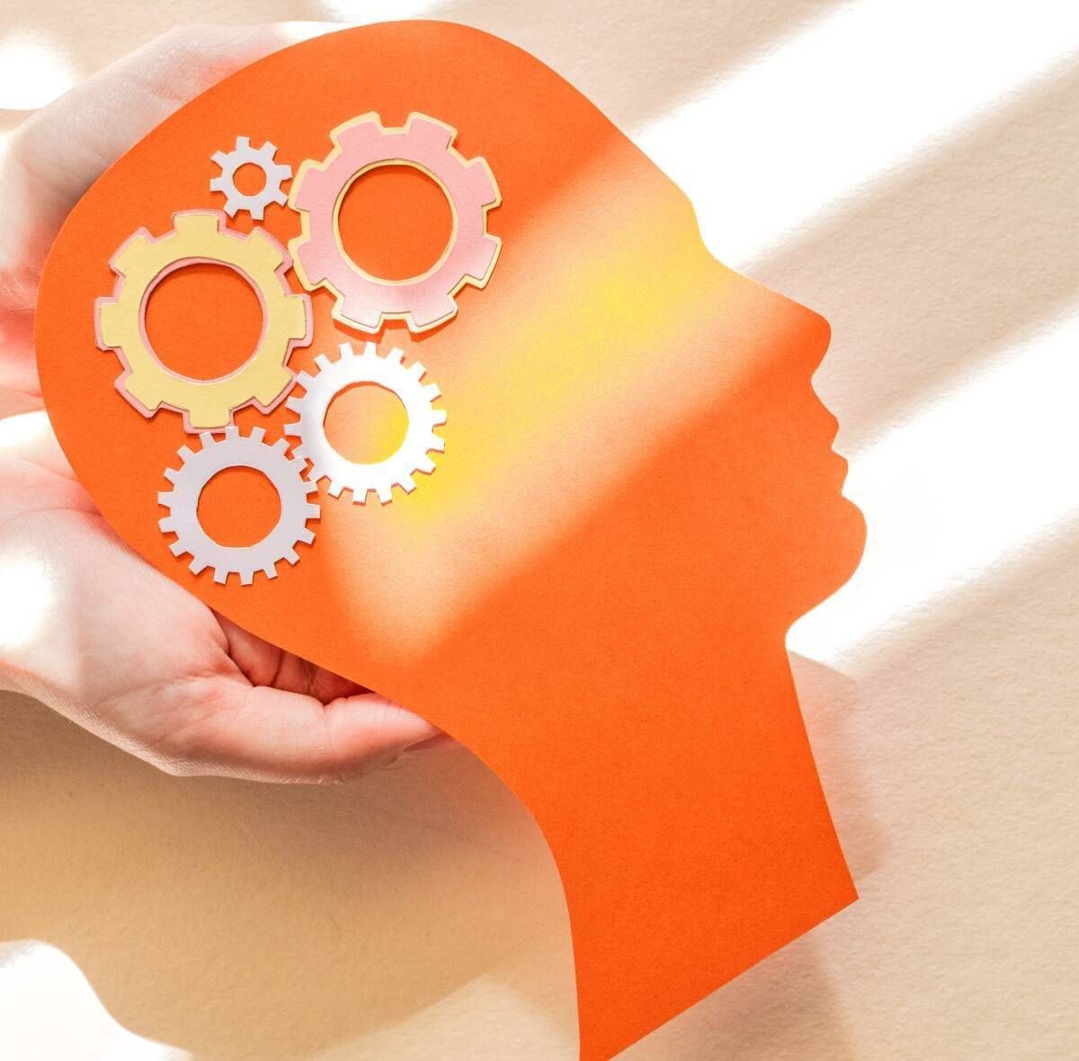 Mecanismos de Defesa