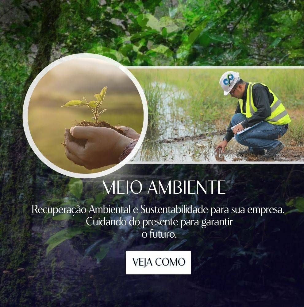 Imagem do Slide Home