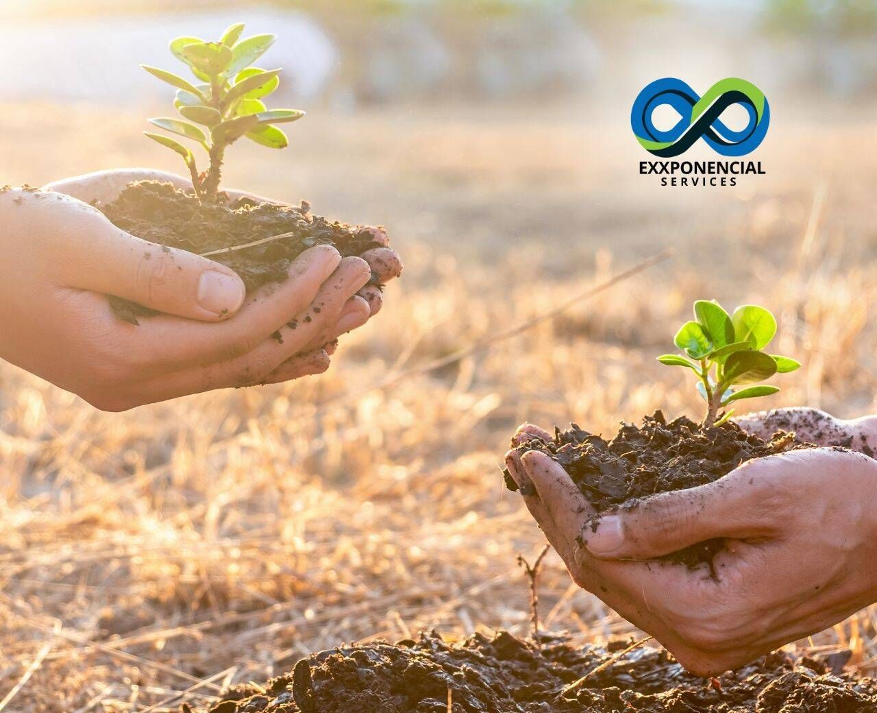 Revitalização de Áreas e Preservação Ambiental