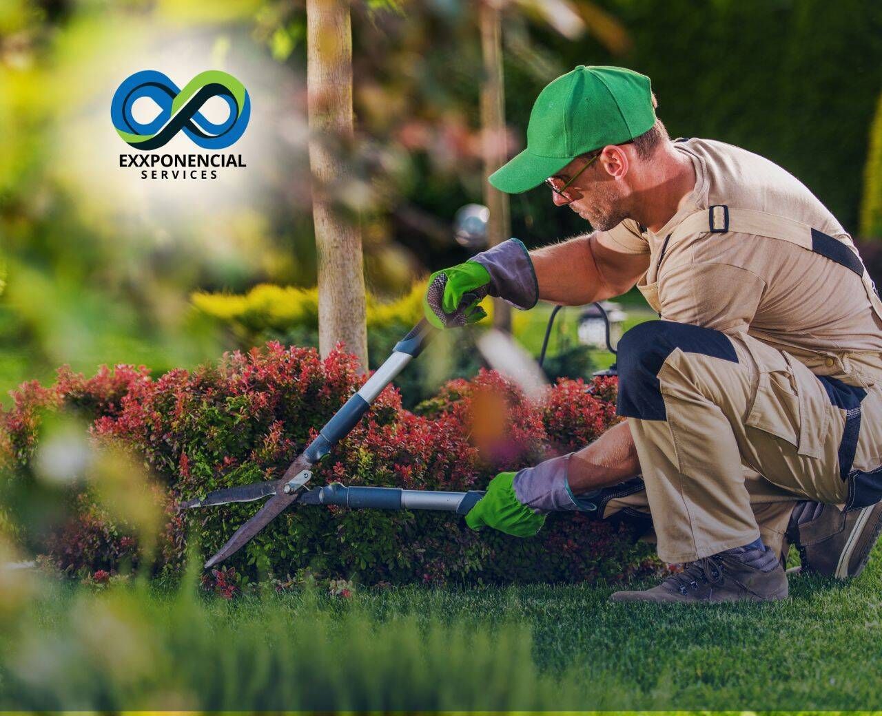 Serviços de Jardinagem