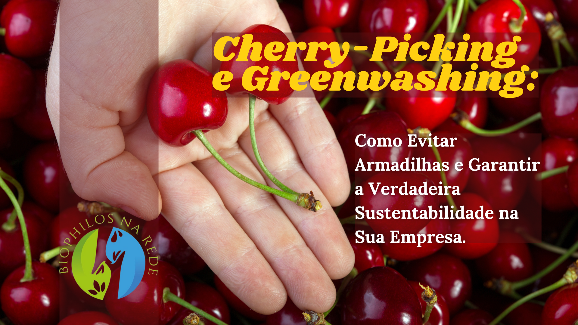 Cherry-Picking e Greenwashing: Como Evitar Armadilhas e Garantir a Verdadeira Sustentabilidade