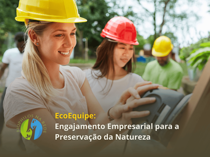 EcoEquipe: Voluntariado Empresarial de Impacto - Foto 1