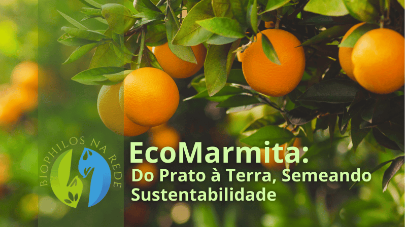 EcoMarmita: A Solução Sustentável para Empresas Inteligentes.