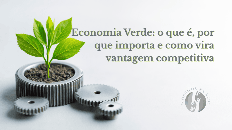 Economia Verde: o que é, por que importa e como vira vantagem competitiva