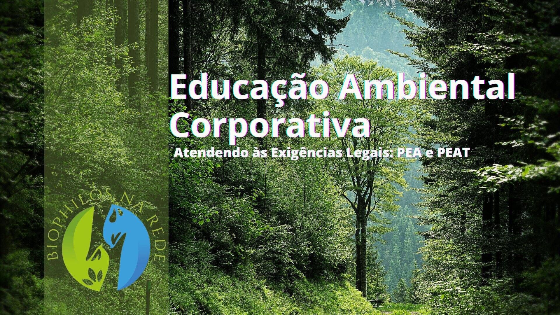 Educação Ambiental Corporativa: Normativas, Duração dos Programas e Impacto Ambiental