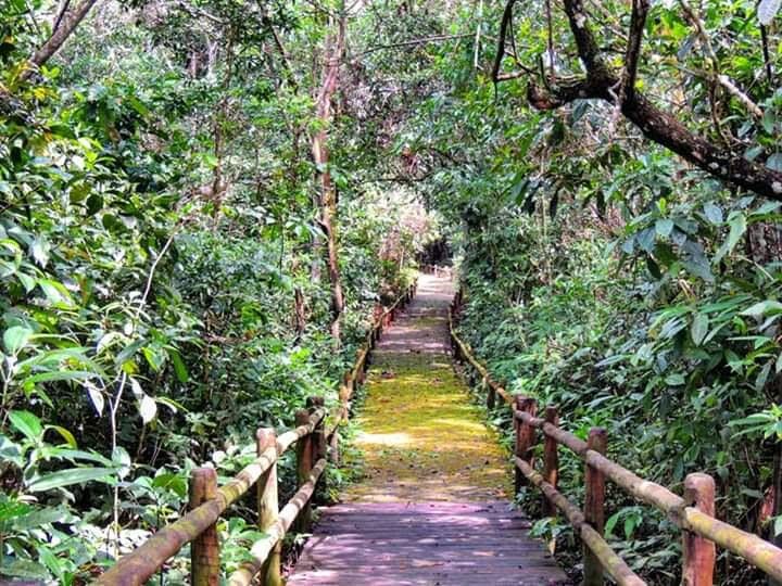 Trilha inclusiva Reserva Biológica União