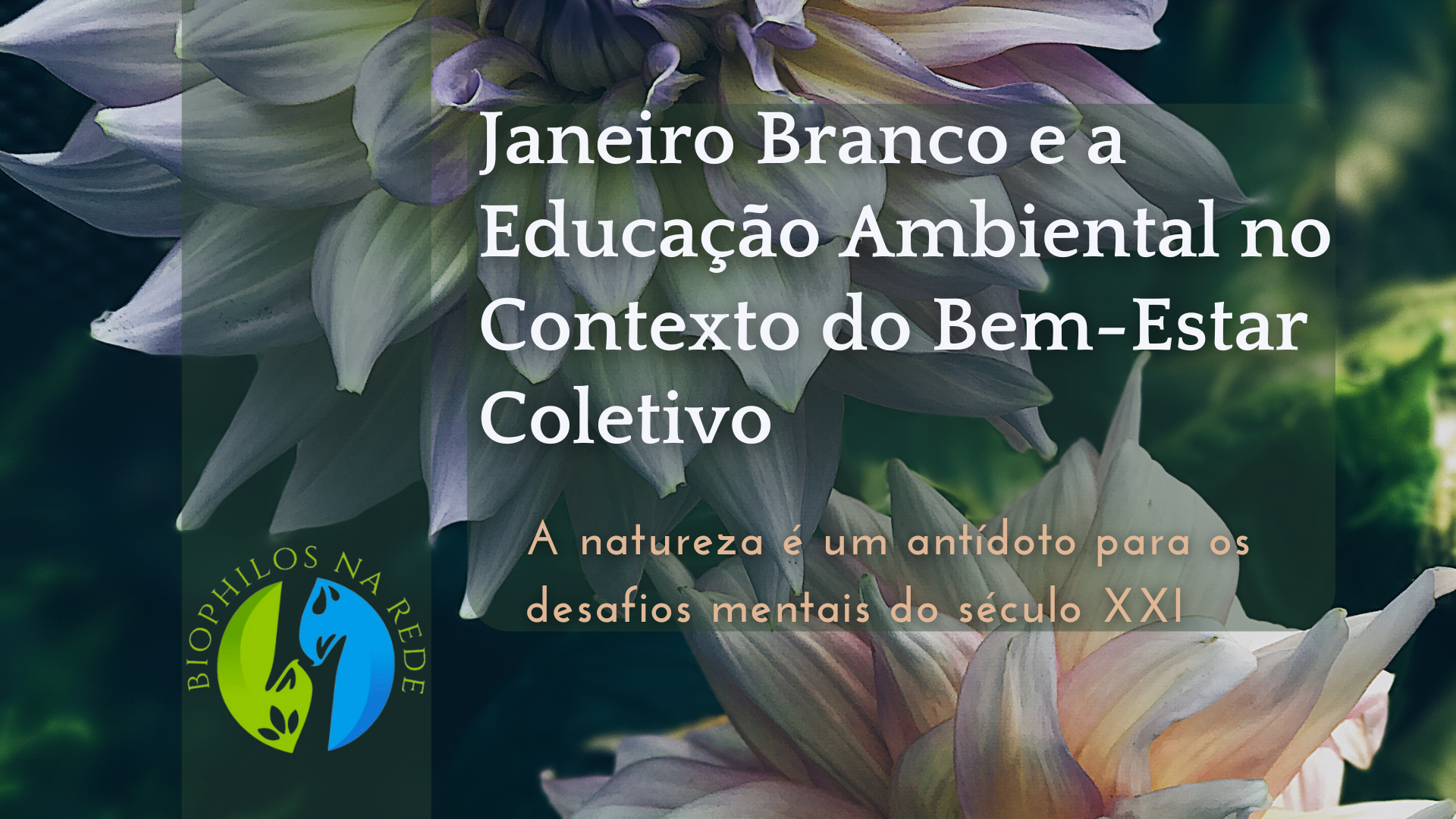 Janeiro Branco e a Educação Ambiental no Contexto do Bem-Estar Coletivo