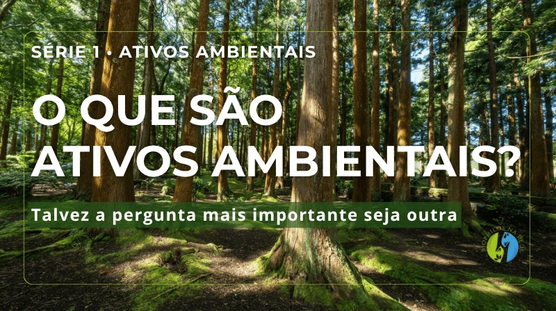 O que são ativos ambientais?
