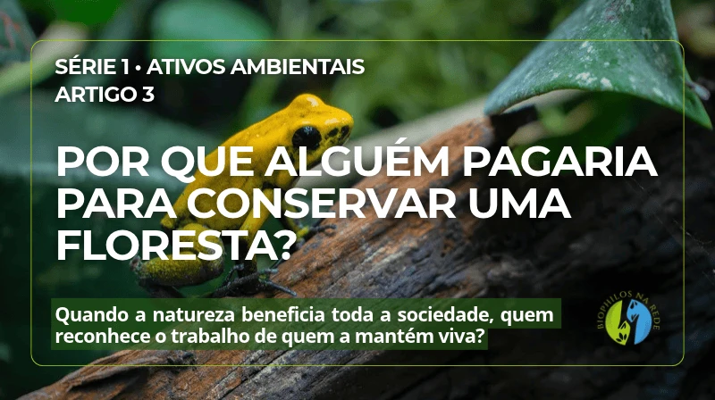 Por que alguém pagaria para conservar uma floresta?