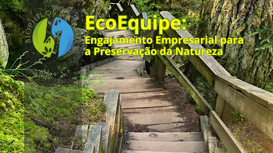 Projeto EcoEquipe: Iniciativa Empresarial que Une Sustentabilidade e Engajamento Social