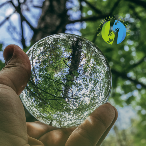 Avaliação de Risco Ambiental - Foto 1