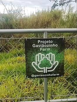 Projeto Adote + Ar Puro - Árvores Nativas - Foto 2